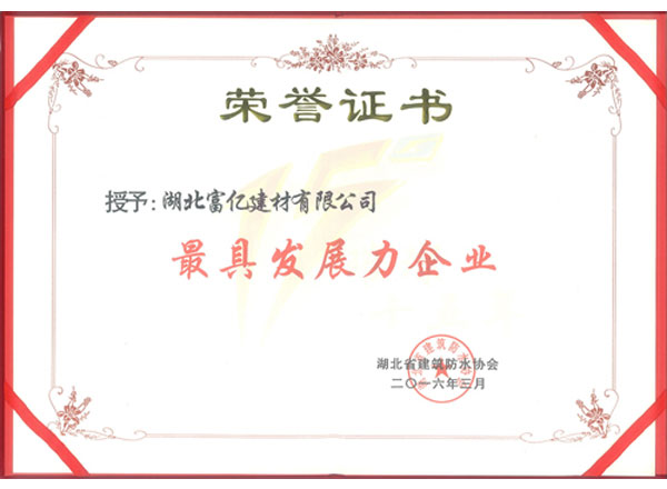 最具發(fā)展力企業(yè)