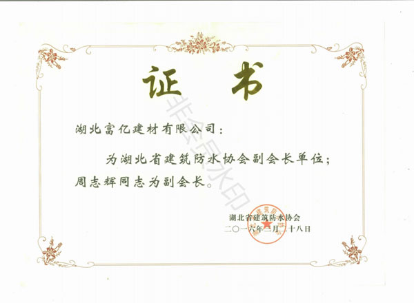 湖北省建筑防水協(xié)會副會長單位